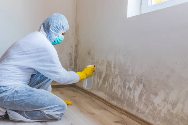 Hvac And Air Duct Mold Remediation inspection of HVAC system in Machipongo